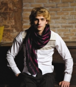 Василий Степанов